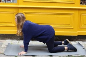 Posture yoga Chat - Marjarasana