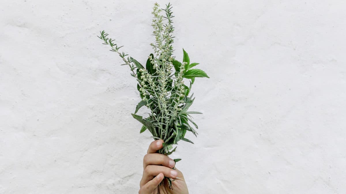 Zero déchet minimalisme désencombrement simplicité naturopathie écologie