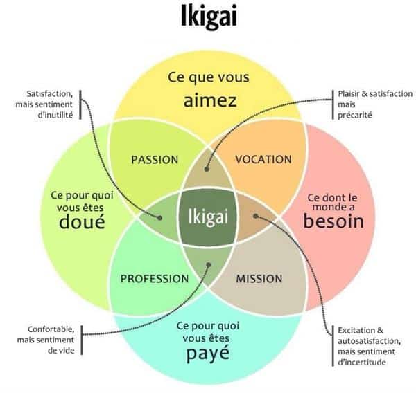 ikigai voie chemin développement personnel résolutions