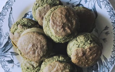recette fanes de radis muffin soupe crueecologie végétarien naturopathie naturopathe