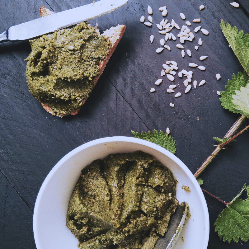 Ortie recette pesto smoothie jus extracteur vitamines mineraux cuisine crue cruisine naturopathie naturopathe