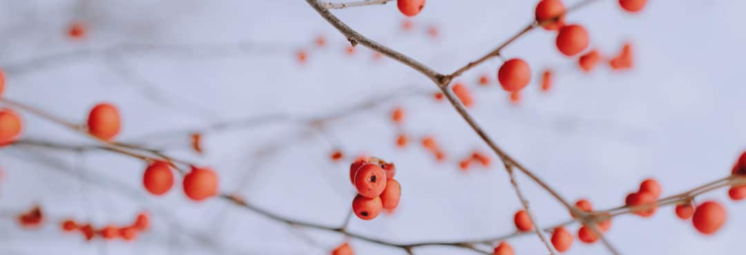 15 nouvelles idées de cadeaux qui donnent du sens