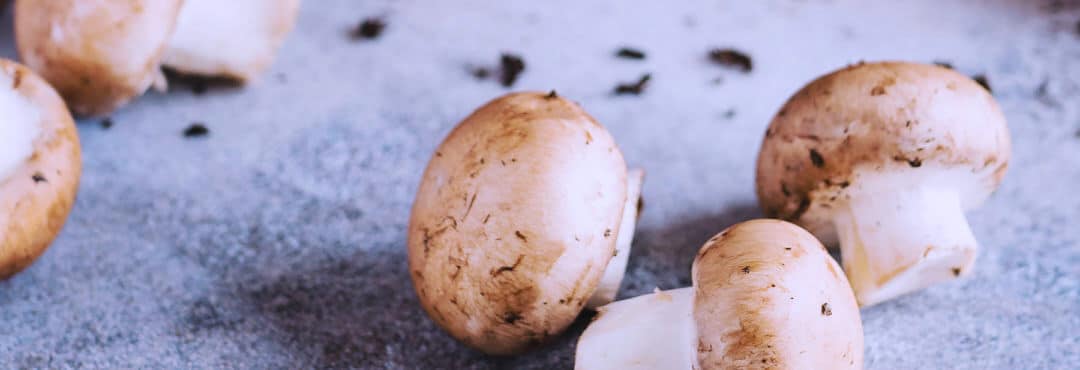 2 recettes pour mettre plus de champignons dans ta vie
