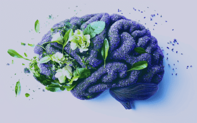 Régulation du système nerveux : pourquoi avons-nous tant de mal à nous arrêter ?