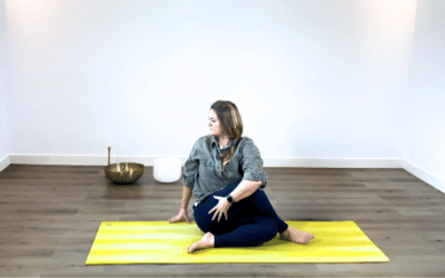 Hatha Vinyasa Yoga (100% visio)